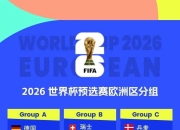 挪威国家队大比分晋级年欧锦赛，实力卓越的简单介绍